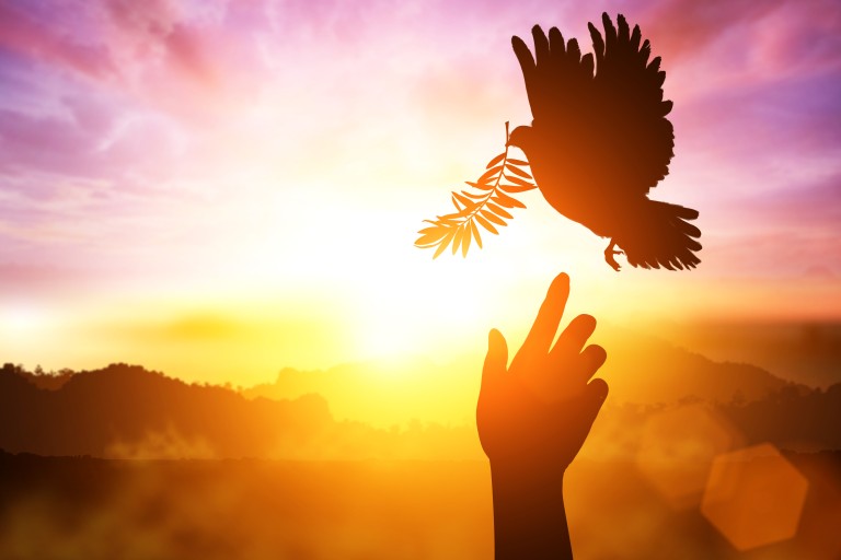 Celebrating with Joy & Gratitude the Divine Bounty Given: Part 2