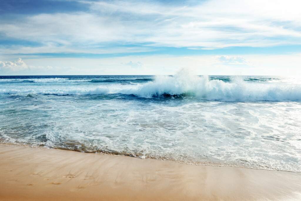 Gifts & Graces: Part 1