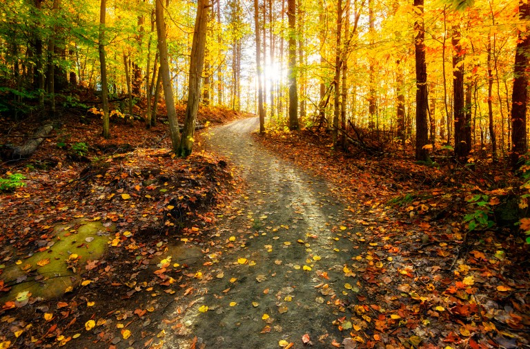 Abiding in the Spirit of Light: Part 2