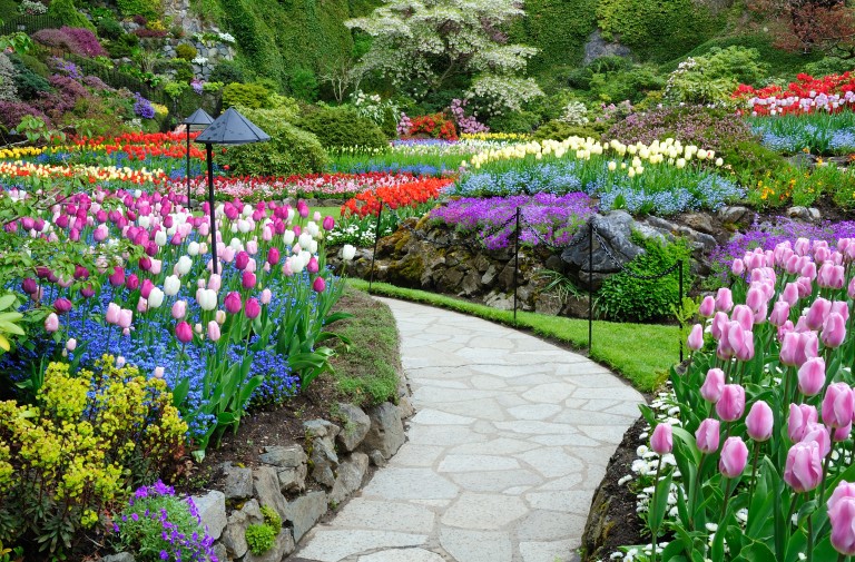 Living in Harmony with God’s Creative Order: Part 2