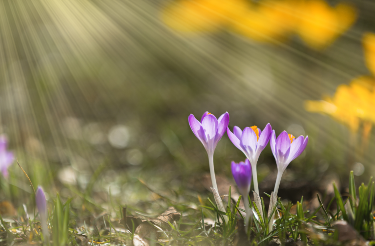 The Current of God’s Love: Part 1                     (Luke 24:13-27, Romans 8:38-39, Psalm 34:18)