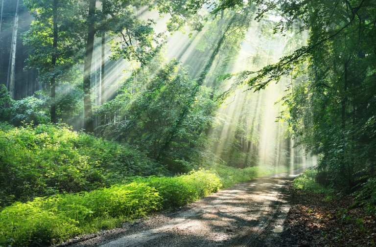 Spiritual Sustenance: Part 2