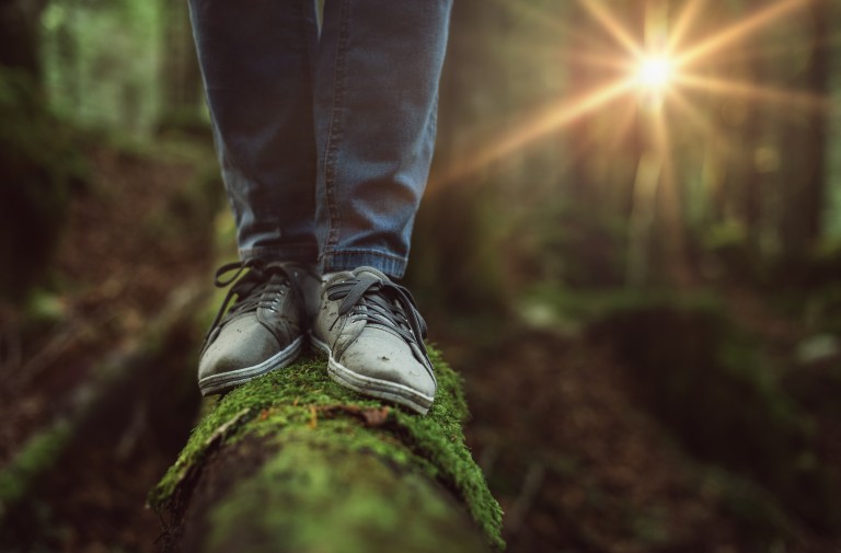Balance, Harmony & Optimal Healing