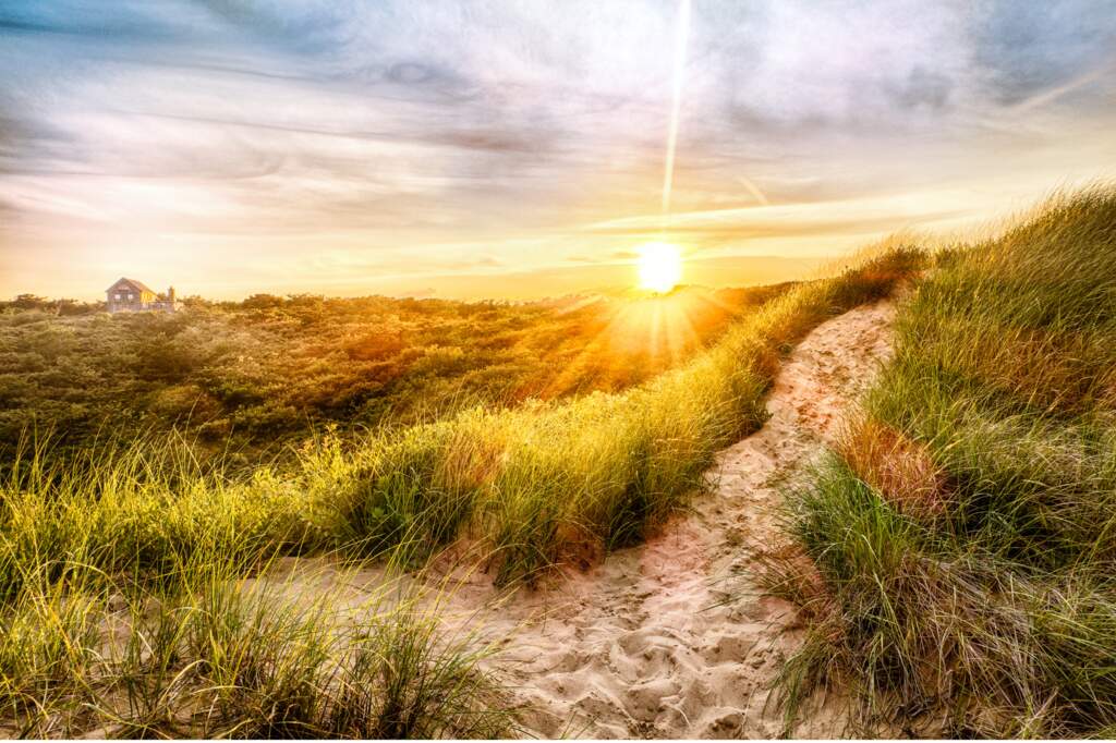 The Journey Through the Wilderness onto a Clear Purpose Focused Path: Part 2