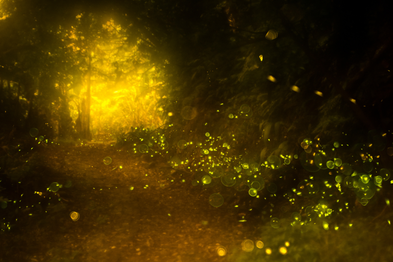 The Palpable Sense of the Sacred: Part 2
