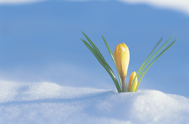 Awakening to Divine Presence: Part 1
