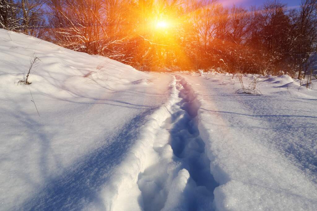 The Pathway to Healing: Part 1