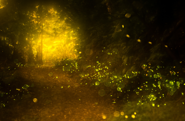 The Palpable Sense of the Sacred: Part 2