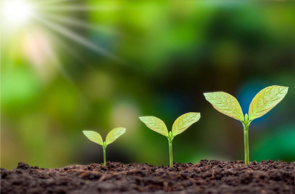 Promise of Eternal Life/Pathos & Glory: Part 1