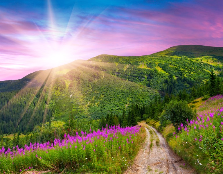 Recognizing Jesus Amidst the Turmoil of Life: Part 2